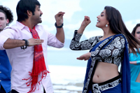 NTR Baadshah Movie Latest Stills
